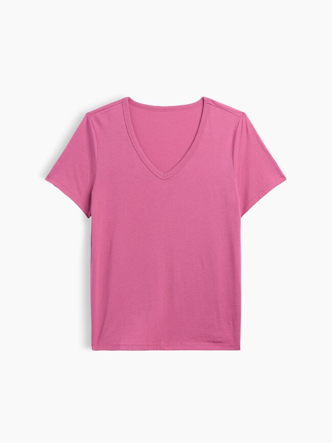 Favorite V-Neck T-Shirt gap favorite v neck t shirt