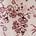 color Burgundy Floral