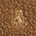 color Kola Nut