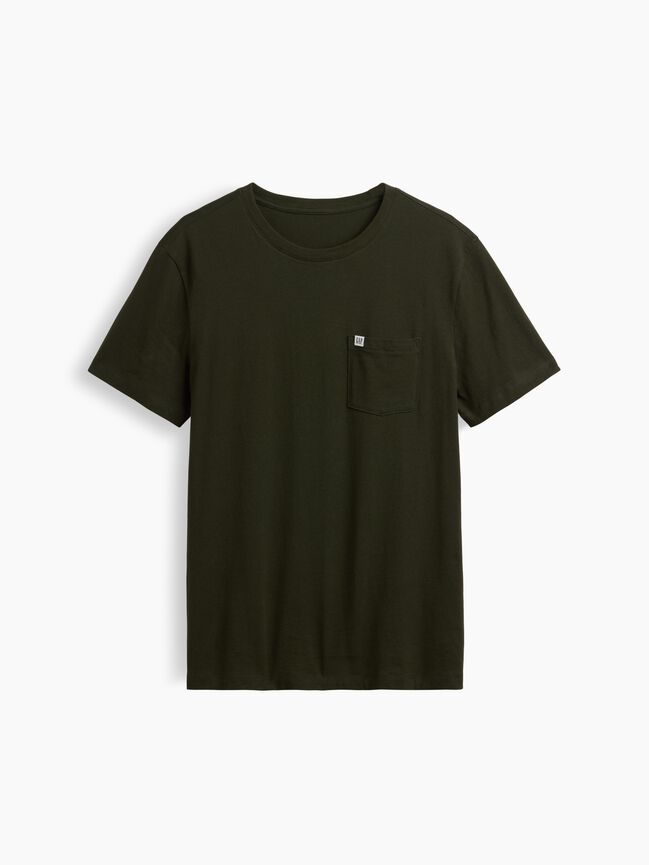 Organic Cotton Pocket T-Shirt gap organic cotton pocket t shirt