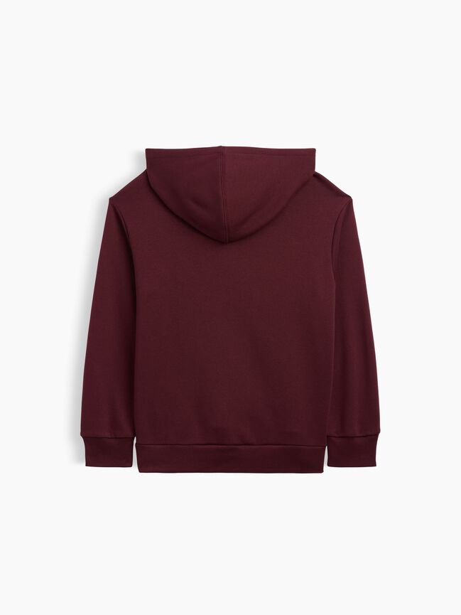 Kids Graphic Hoodie gap kids graphic hoodie
